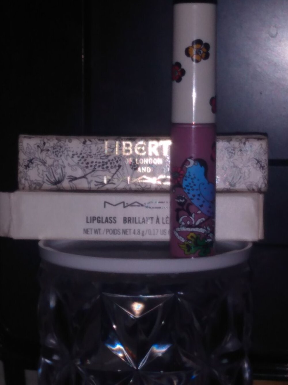 Discontinued MAC Lipgloss in "ENGLISH ACCENTS"